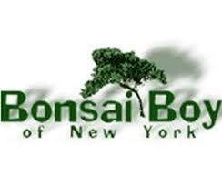 Bonsai Boy Books
